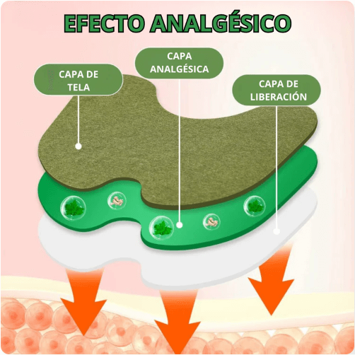 🌿 Parche de hierbas terapéuticas – Alivia el dolor de rodilla y recupera movilidad | 2x1